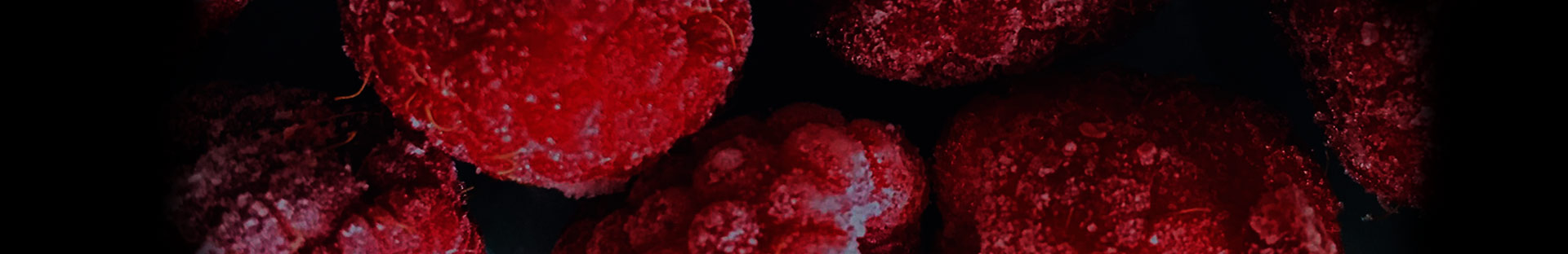 my fresh bottle cocktail